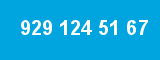 929 124 51 67